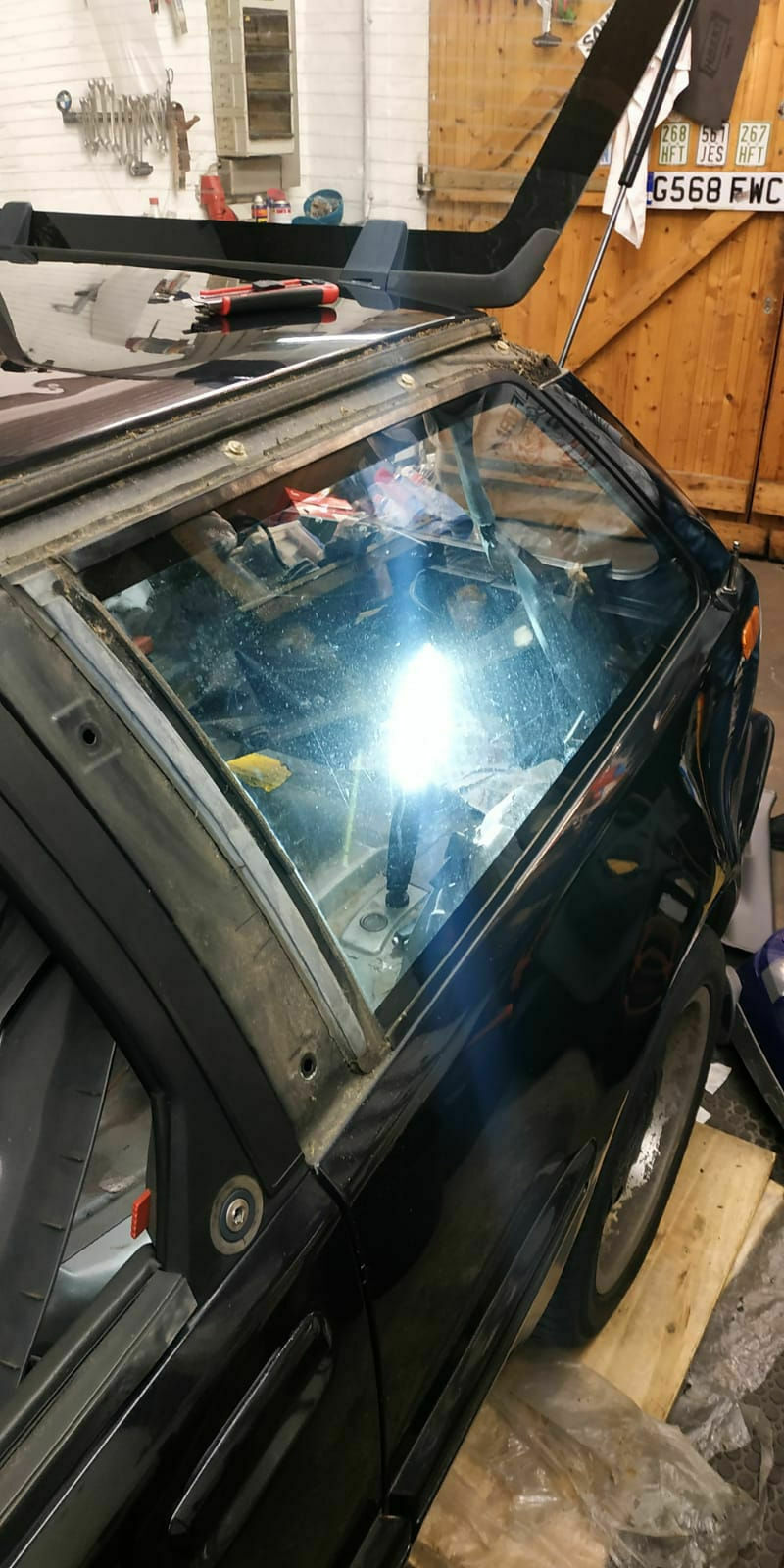 Was habt ihr eurem Elch heute Gutes getan