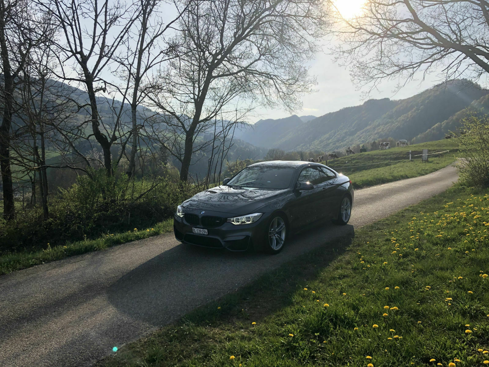 Postet Bilder von Eurem 4er