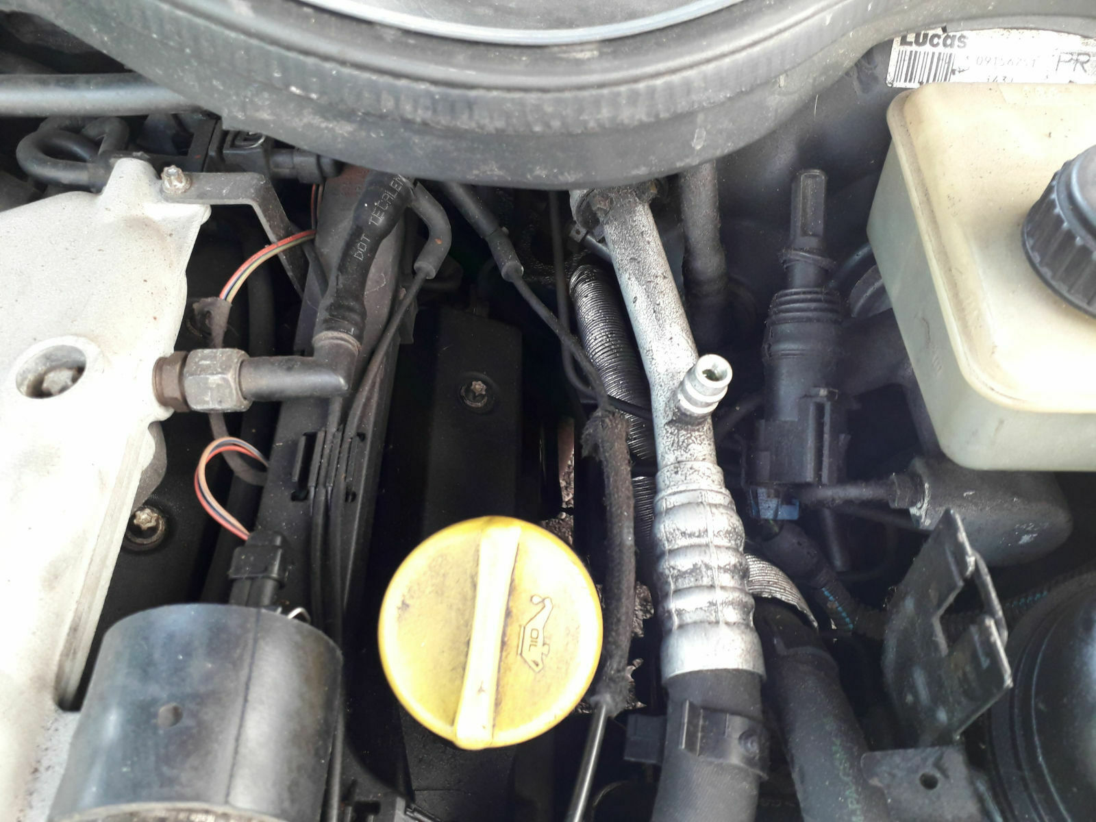 Omega B - X25XE - FL - Klimaanlage