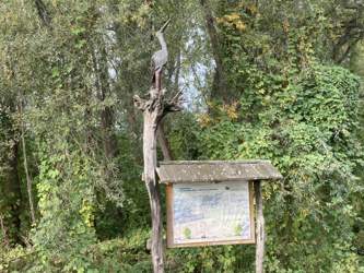 Dc0c3546-2b19-4f9d-b8df-19ccaba27247