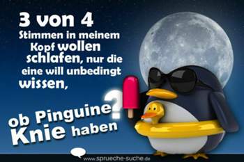 Sprueche-3-von-4-stimmen-in-meinem-kopf-wollen-schlafen-nur-die-eine-will-unbedingt-wissen-ob-pinguine-knie-haben