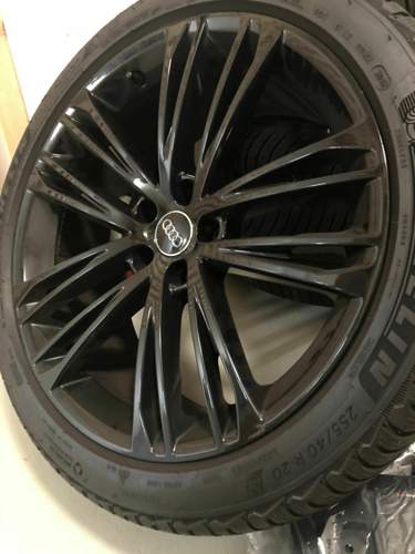 Blackys für den Winter