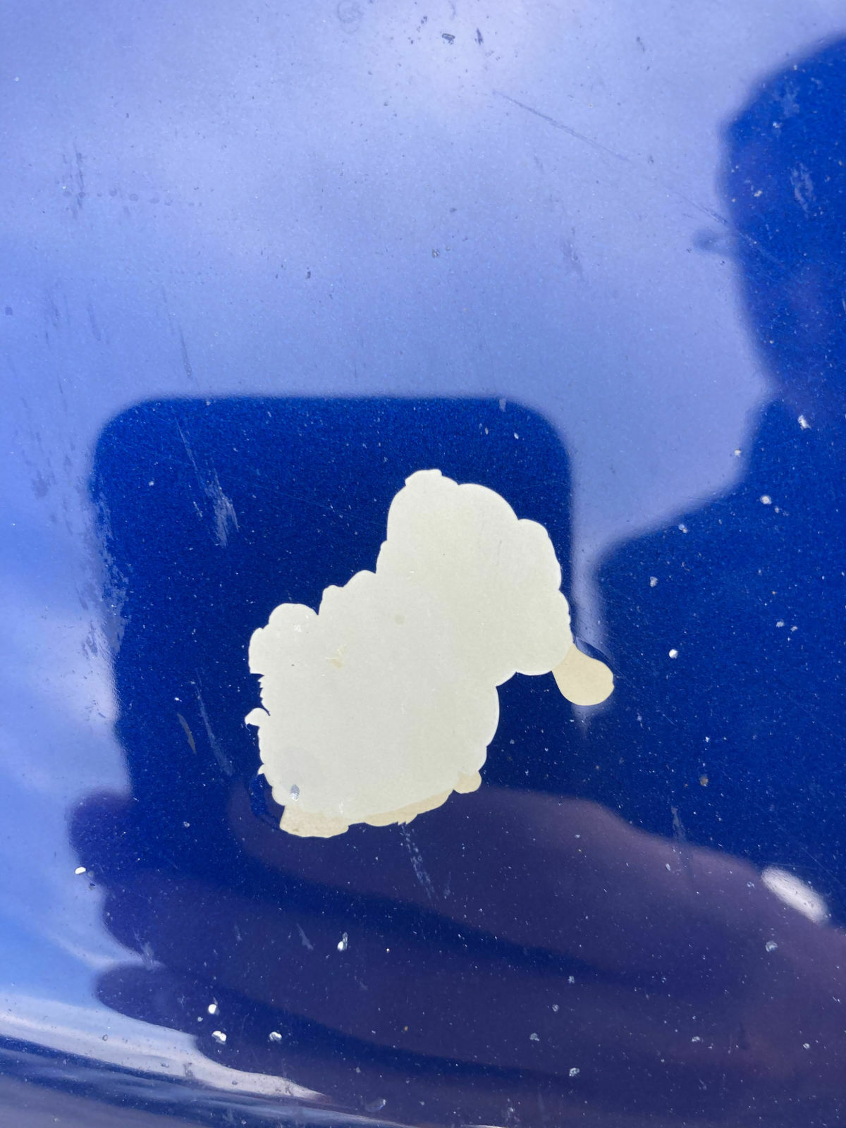 f41b4323-f6bd-44b6-8a98-43c1f1124d18