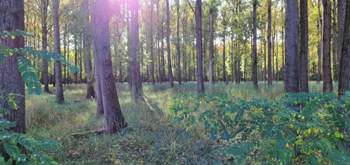 Photo-2020-10-25-14-38