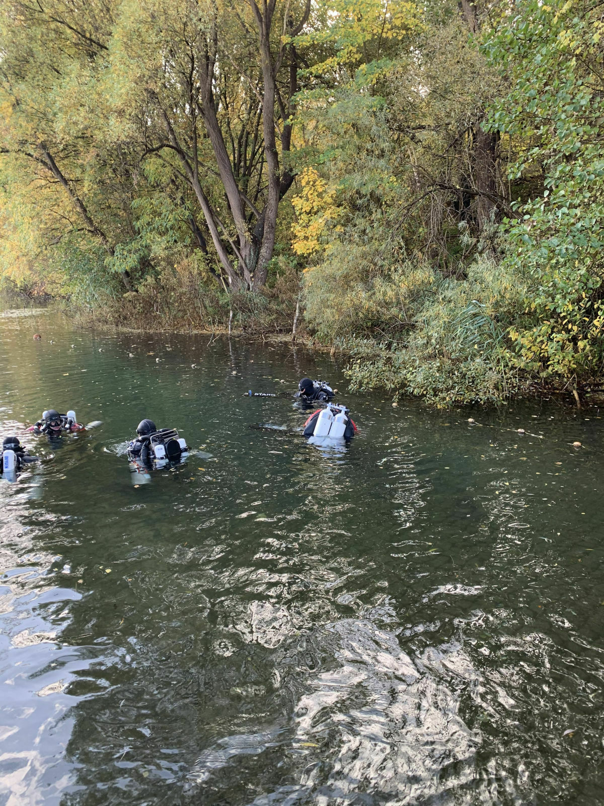 86f0bfd5-9ee7-4342-89b9-0458b5e2ec51