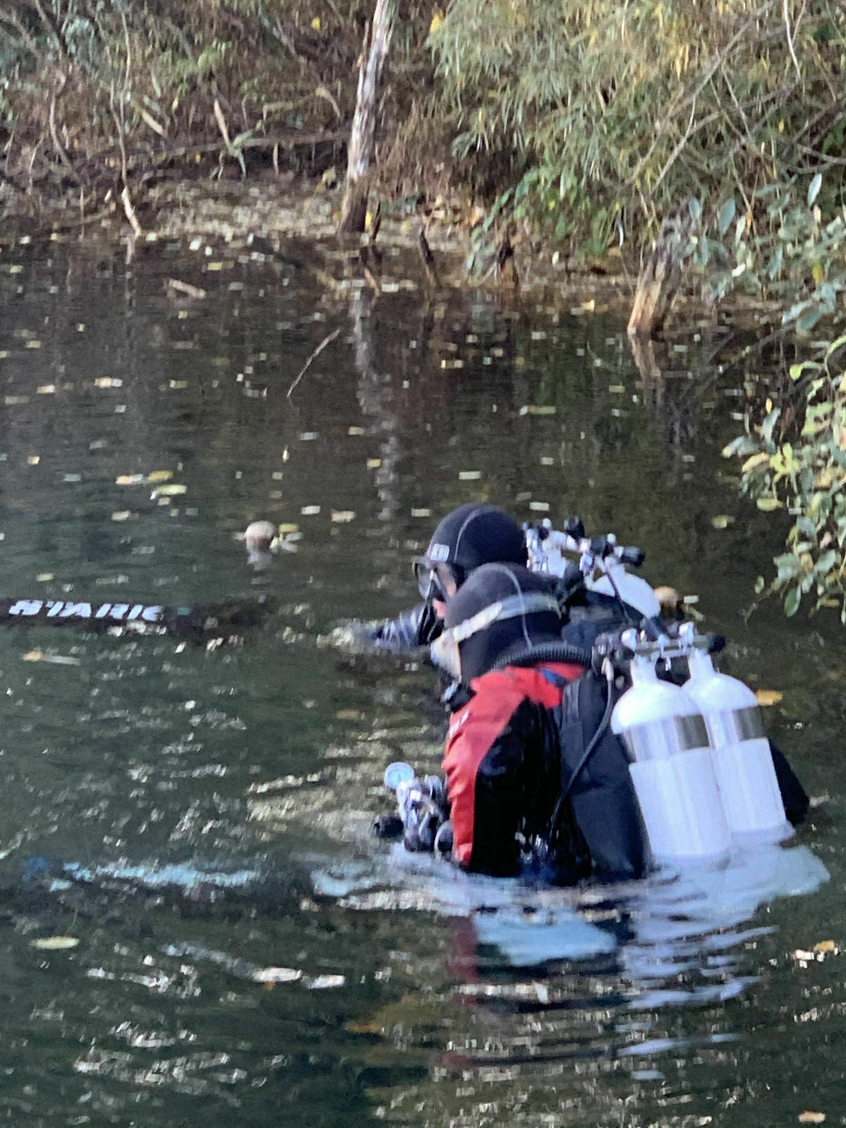 aa64d9bb-ff71-4bd2-87ae-35a8f54079dc