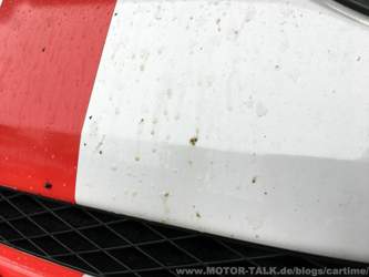 löst Insekten schon an