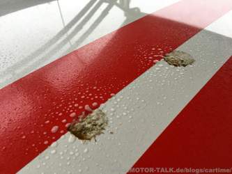 auch hier einwirken lassen