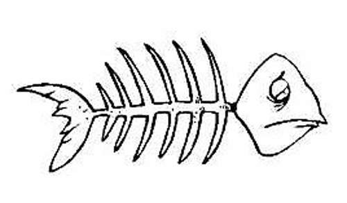 Koi von Volkswagen, Mai 2020