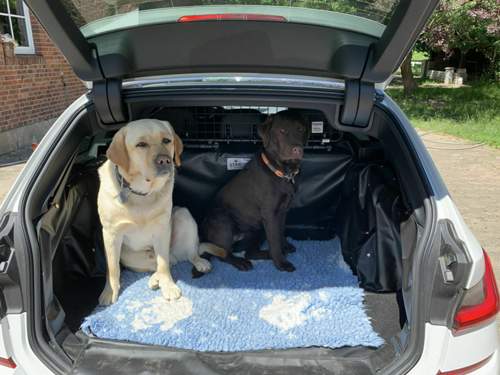 B09f4b4f-62d4-4caa-9ca4-44b72ea6c34e