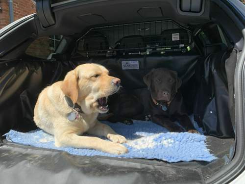 Da7ab73e-2945-491b-a6dd-2acd638922e8