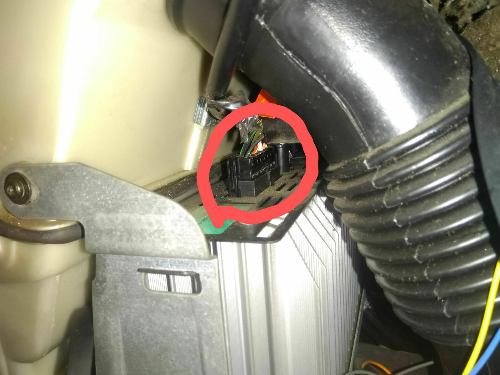 Was habt ihr eurem Elch heute Gutes getan