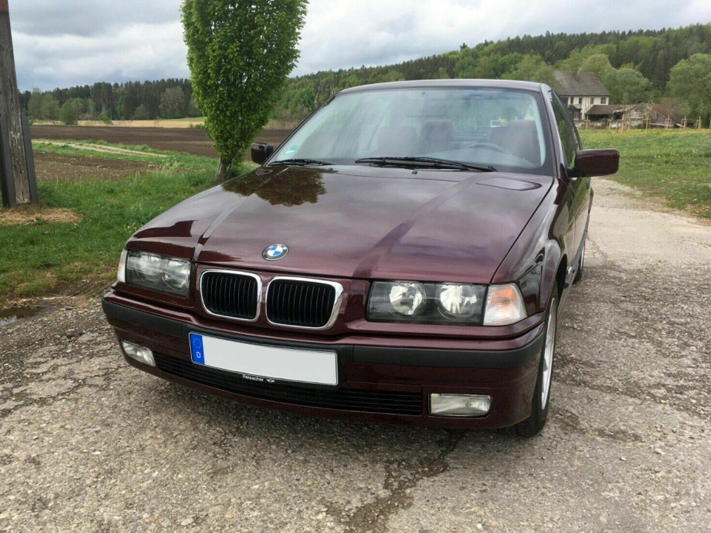 Der E36 Farben-Thread (Lack- und Polsterfarben)