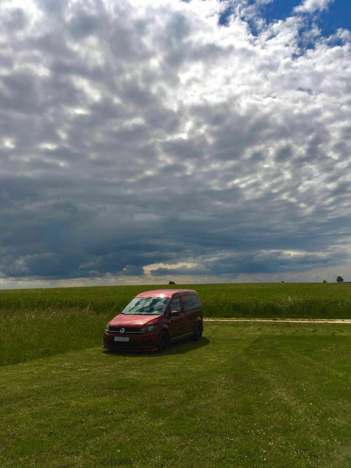 Die schönsten Caddybilder