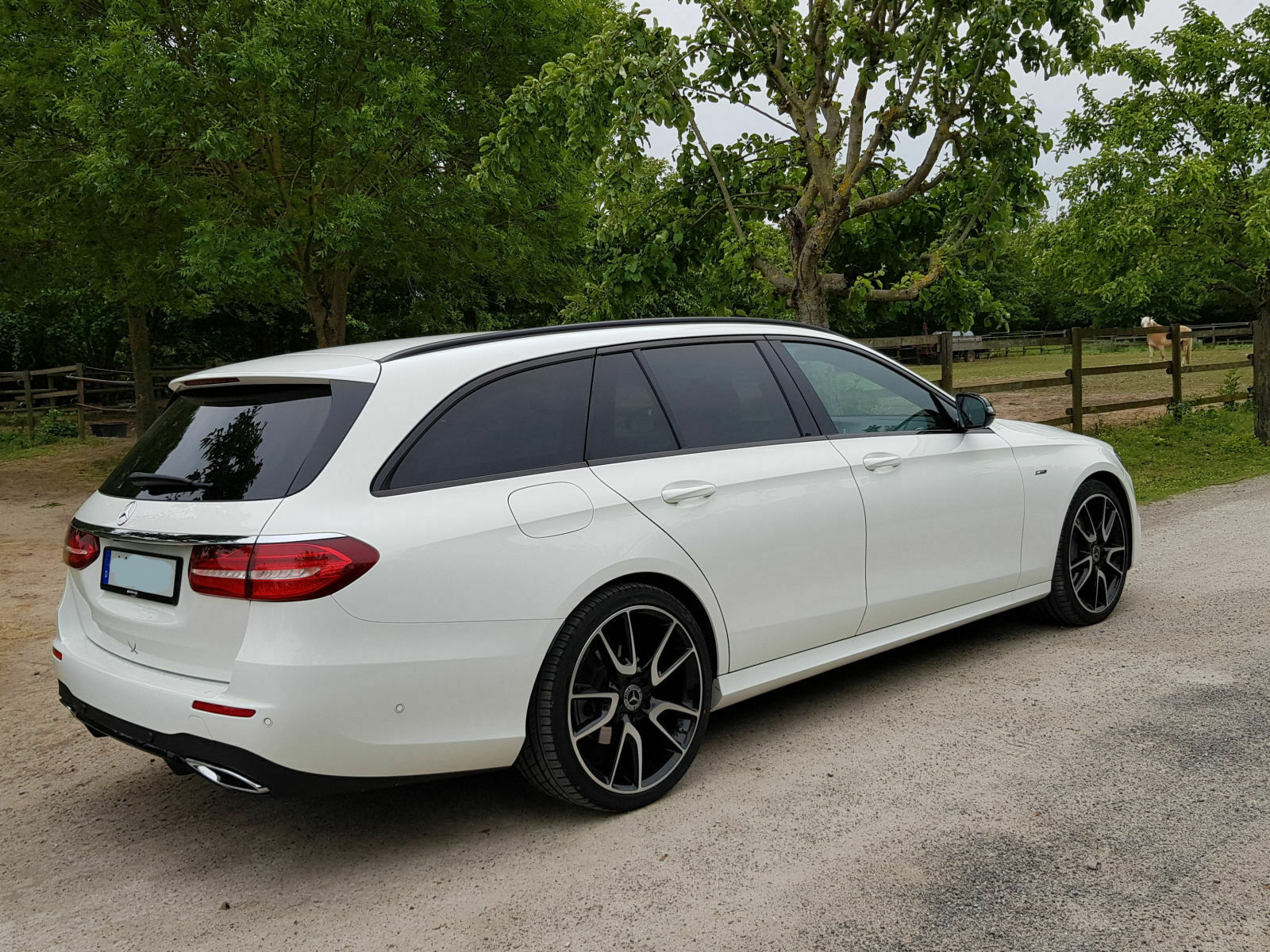 W/S 213: Der Felgen-Bilderthread