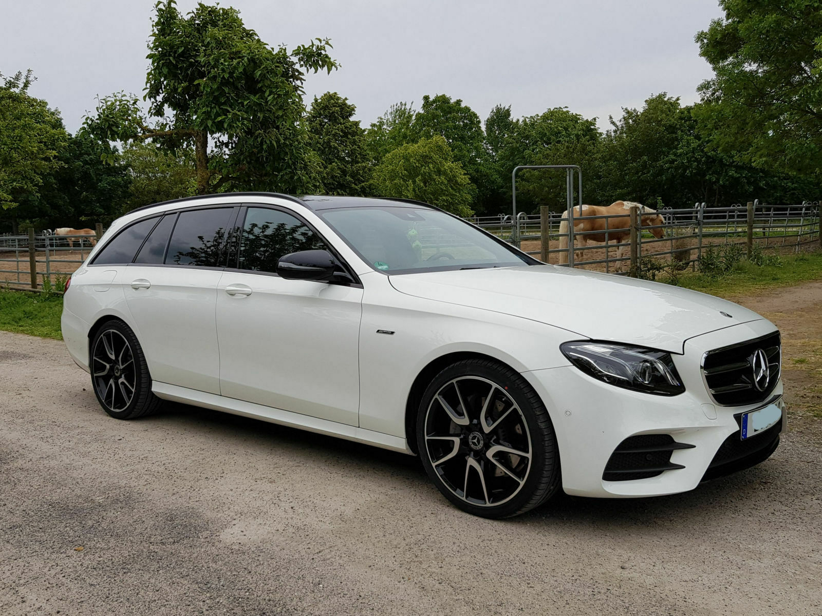 W/S 213: Der Felgen-Bilderthread