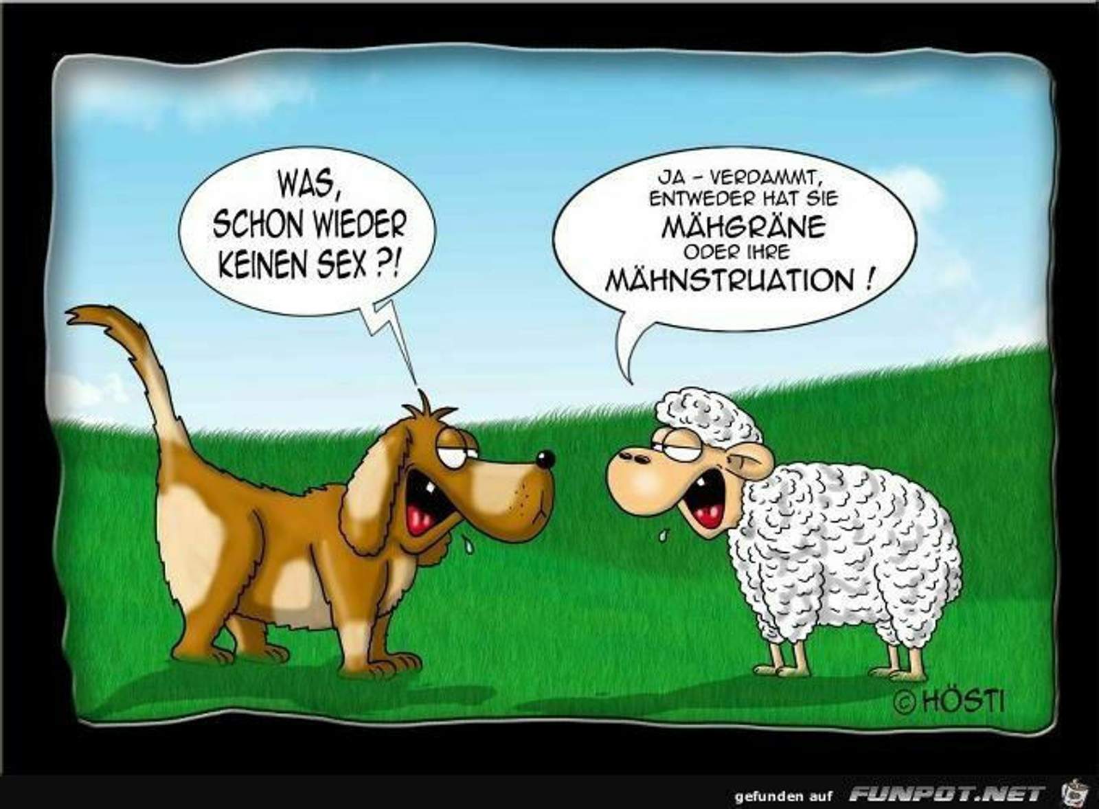 982e007cf454bbb416f808c31229edb5