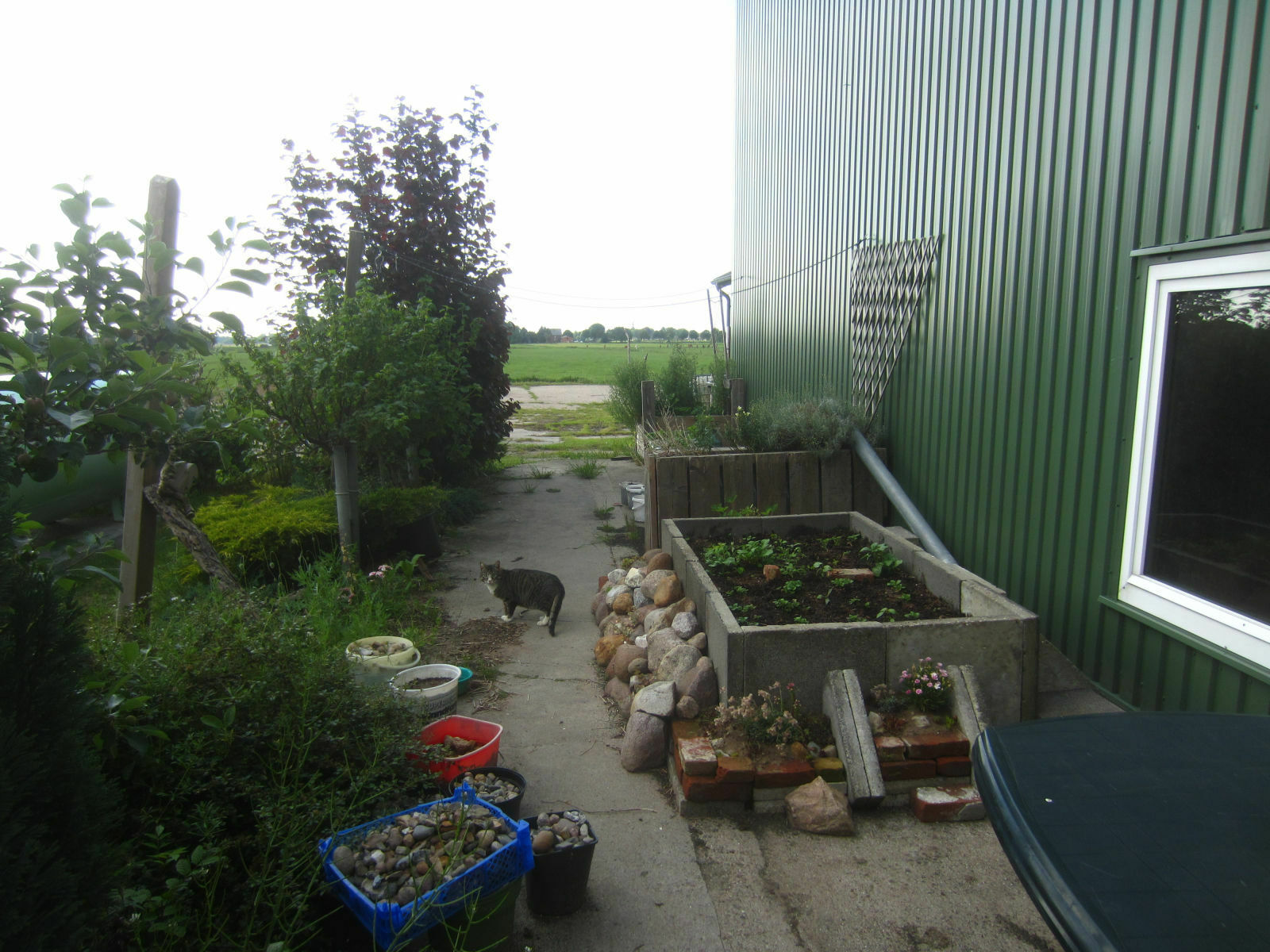 Der Schrottplatz - Spiegelsymmetrisch des Showrooms