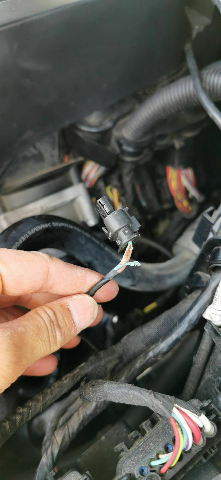 Fehlermeldung CF1541 N55