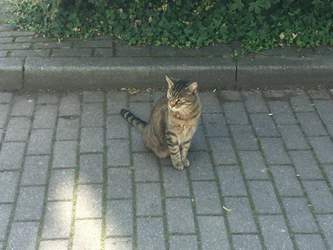 Bcbf641d-a739-4971-9e3b-3c6f058c5d8b