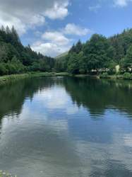 29c4a1a8-9538-4b95-a383-790f5d1c0926