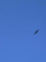 4bb4ccd9-6105-4cca-bbd7-84058cc2846c