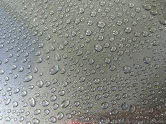 Soft99 Fusso Coat F7 All Colours