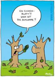 22811295-10155640828972936-92258015-n-550x774