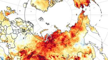 Hitzewelle-sibirien-100-2400x1350