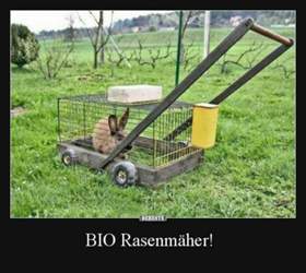 354ee5548408d7b964c6ff342b22416b