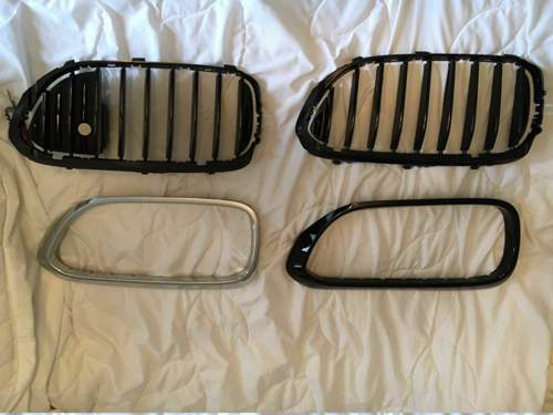 M Performance Niere Umbau wegen NiVi