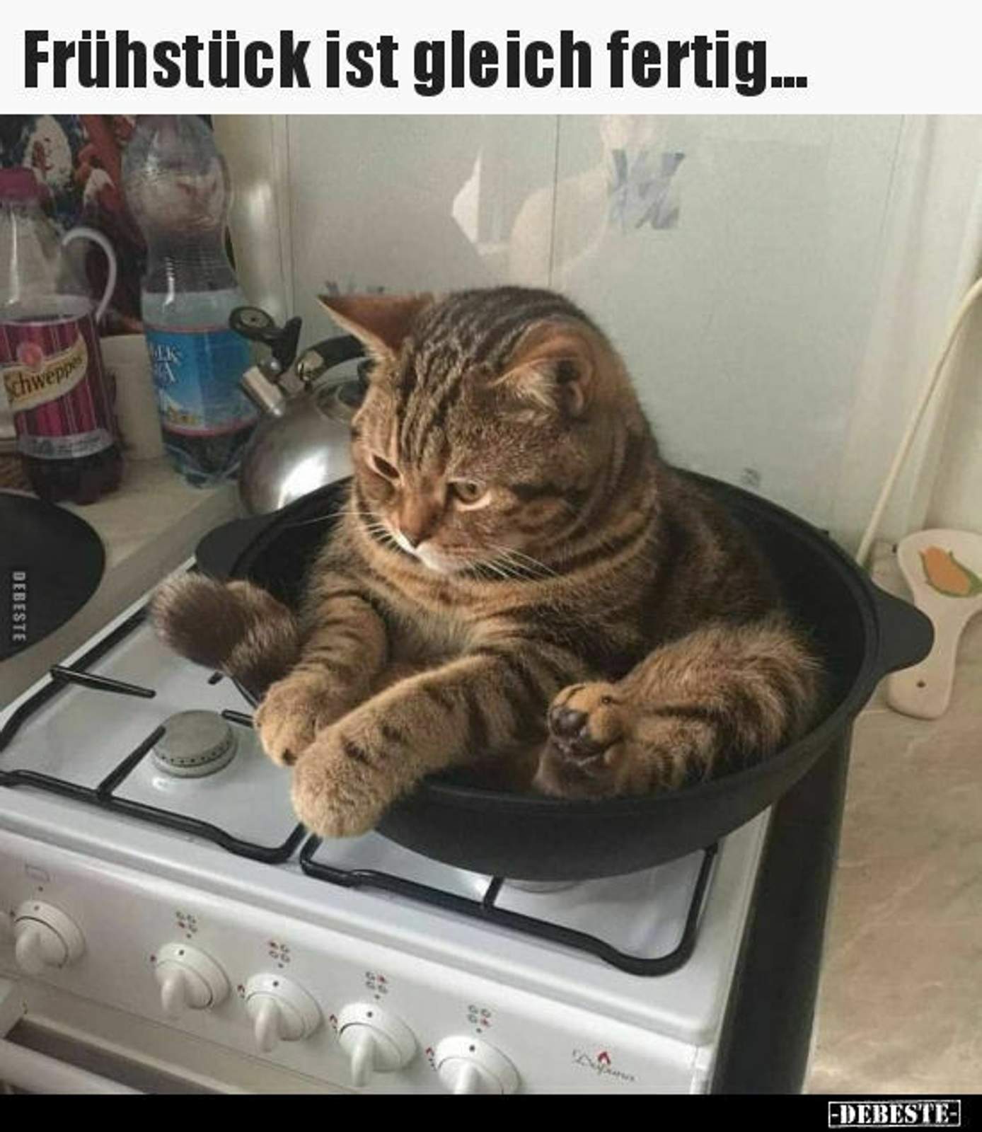 7962ba90f8c5ddab133347070d4cef0a9845