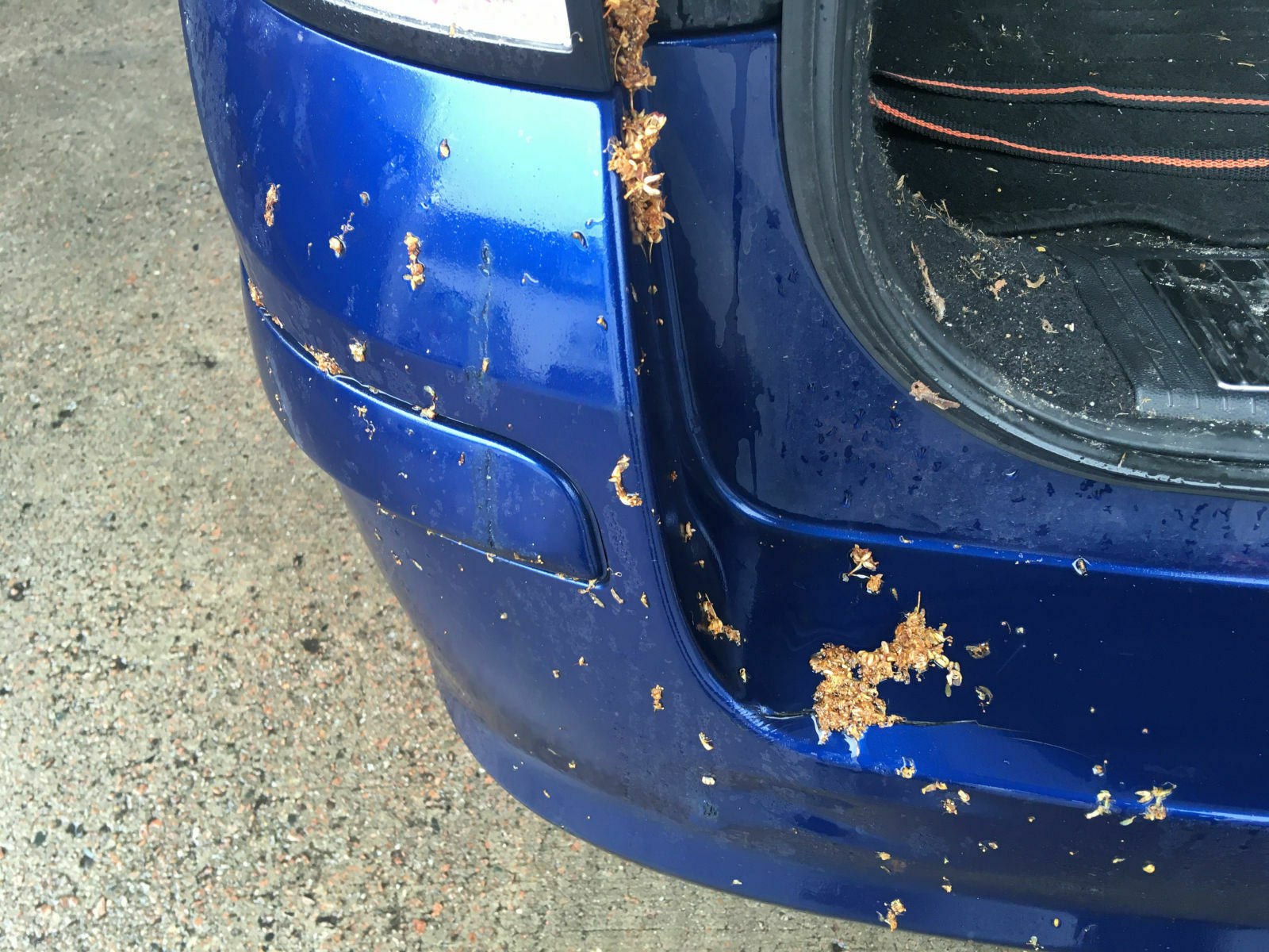 493f8219-87ea-4155-bc15-fecbd3a55e5c