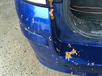 493f8219-87ea-4155-bc15-fecbd3a55e5c