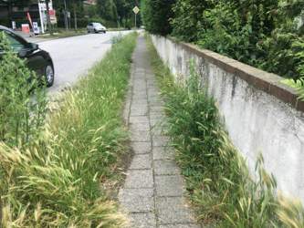 24b6e4a2-deb9-477a-b800-98ec51606aa5