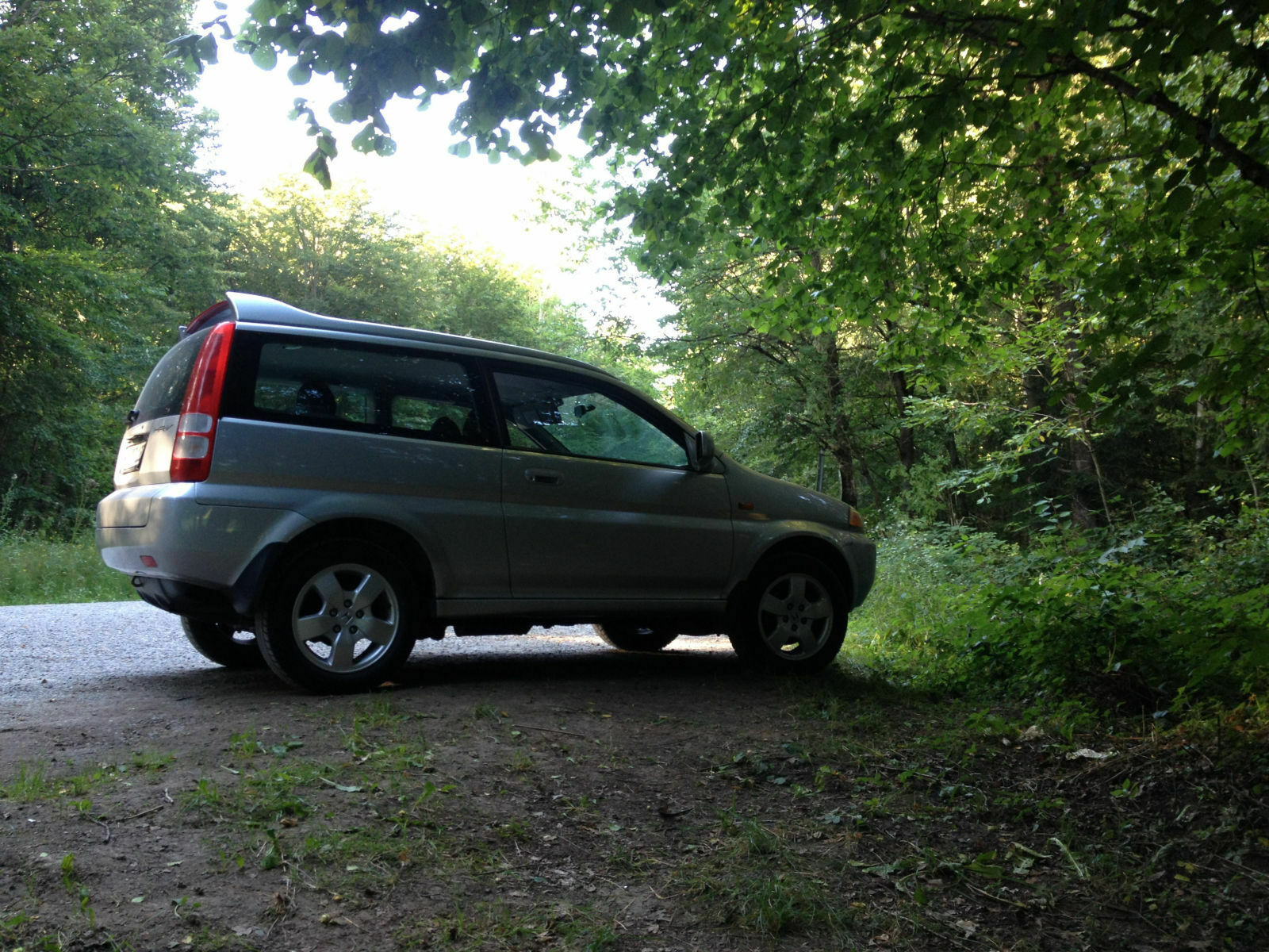 Wieder mal ein Auto für Ungarn.....Wald und Wiese mit Allrad /4x4