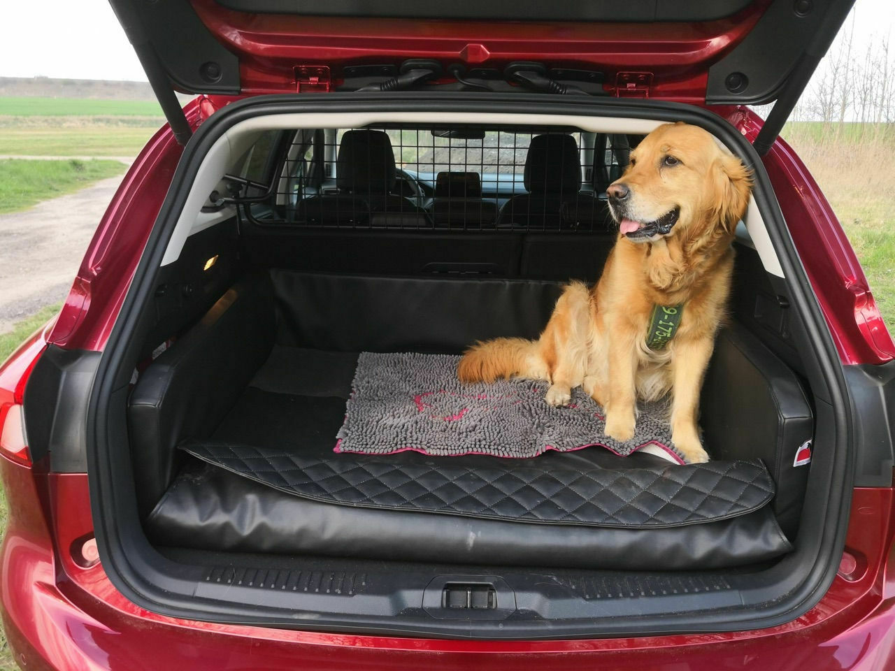 Hund im Auto - B&O Soundsystem