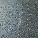 Soft99 Fusso Coat F7 All Colours