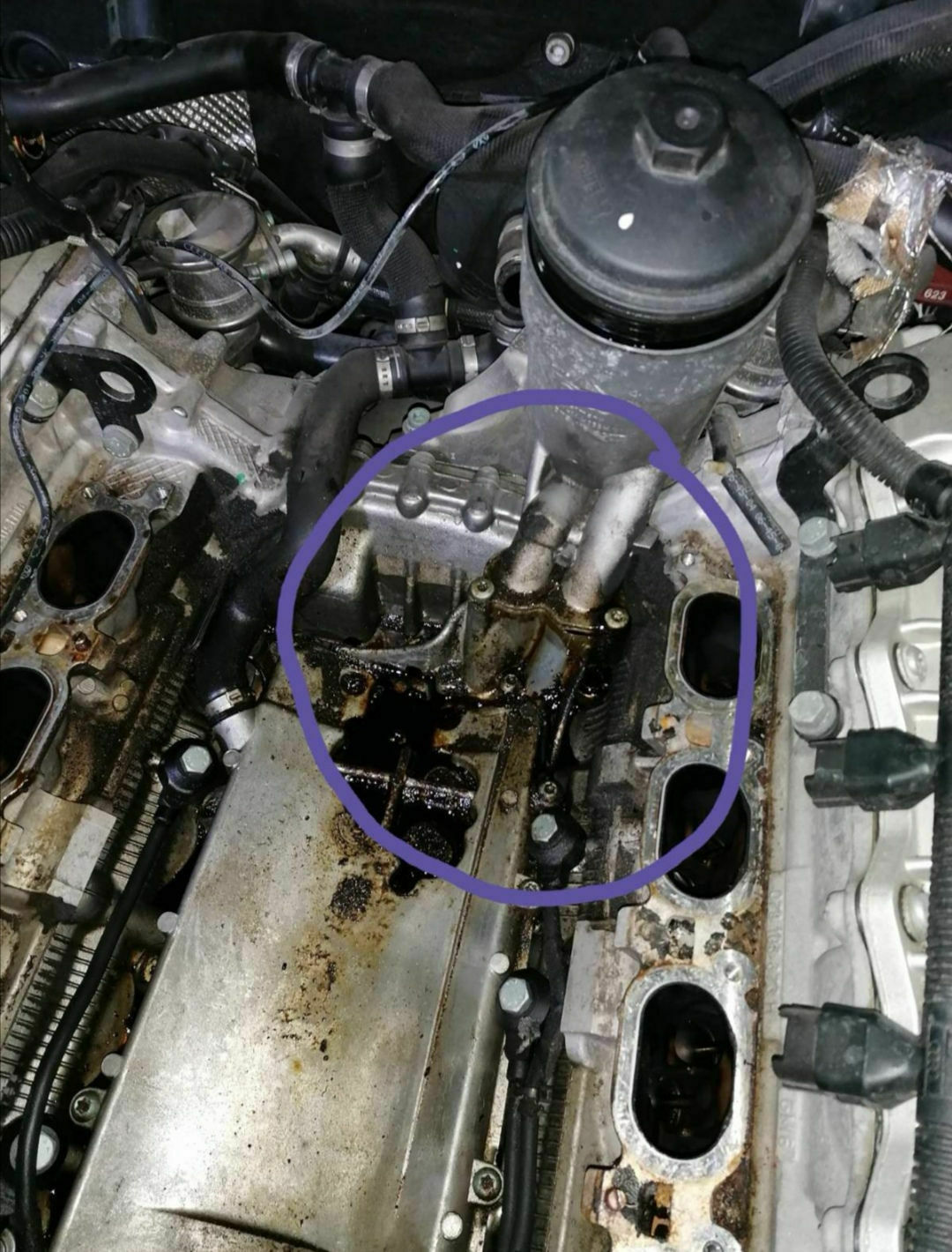 Welche Kats für den S4 - sind RIMO Kats okay?