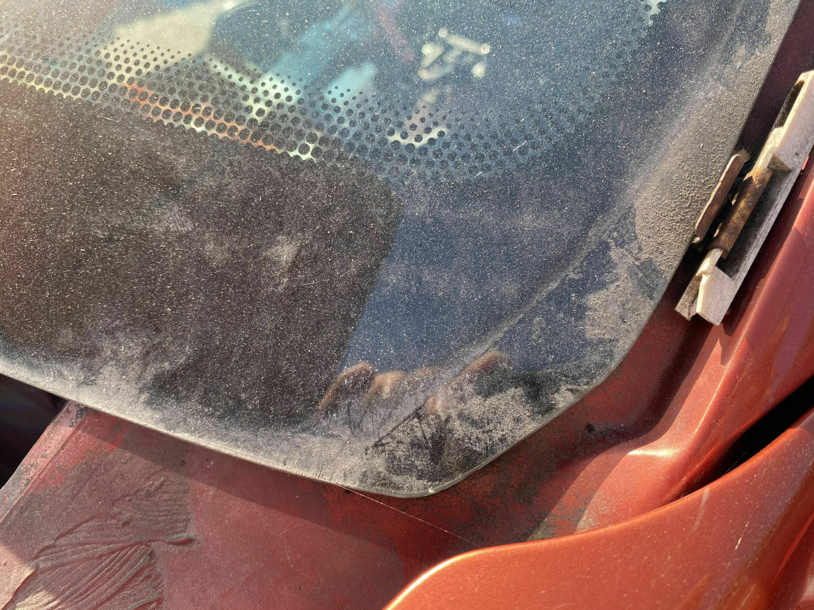 Was habt ihr eurem Elch heute Gutes getan