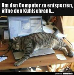 3f907ef1f562db8027f2daa5b4e795a3