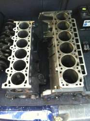 5005069140-ffbaf5e66f-z