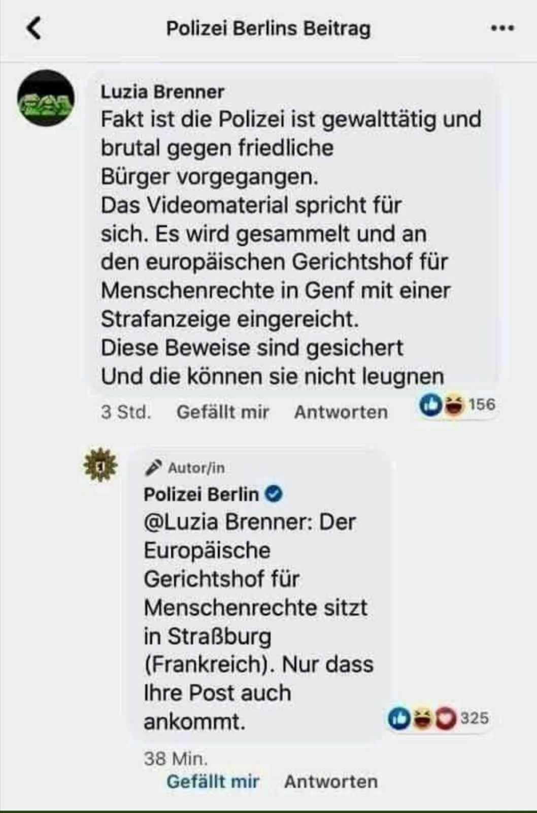 Die Polizei, dein Freund und Helfer.jpg