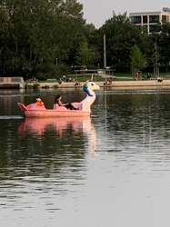 650e8f02-047d-4c80-a811-d6367237ee4a