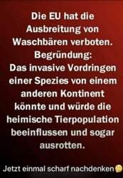 E0cc3268-4a32-423b-8446-c3e1006a3f93