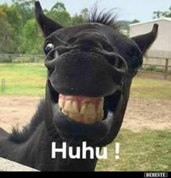 57565b070ad9566a5c9503141f774e2f2089