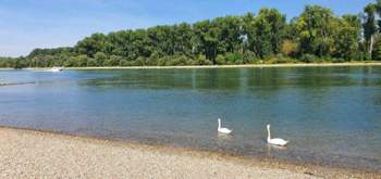 Photo-2020-09-16-09-50