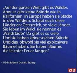 Trump-sager-zu-oesterreichs-baeumen