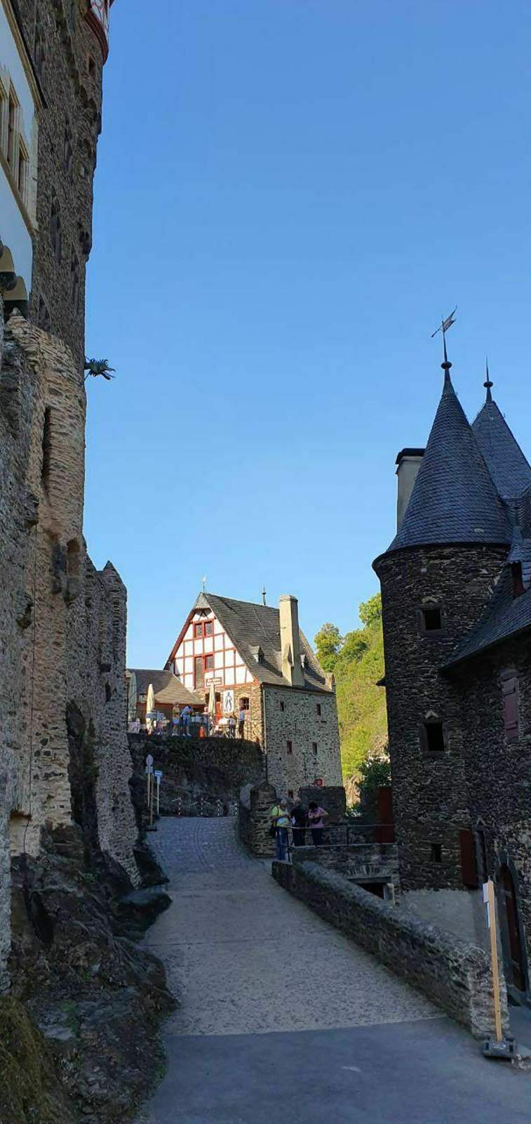 photo-2020-09-22-19-04