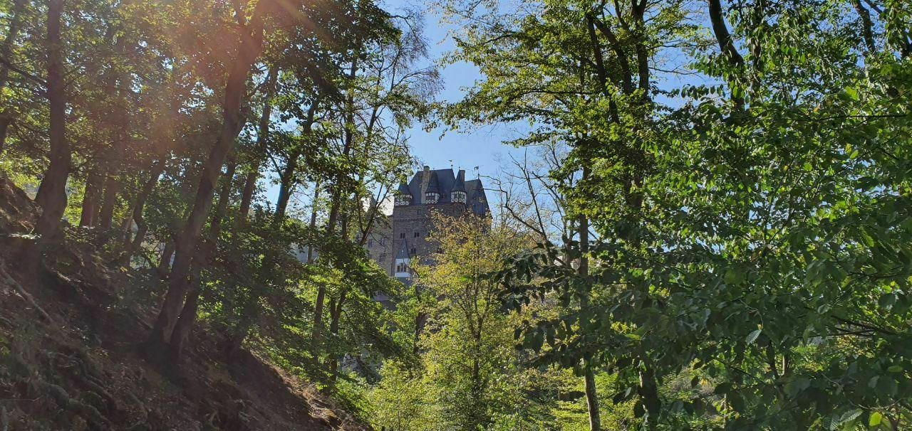 photo-2020-09-22-19-02